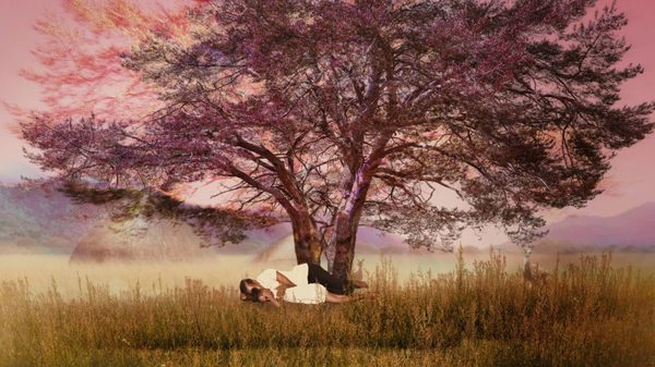 two people lying under a large tree in tall grass