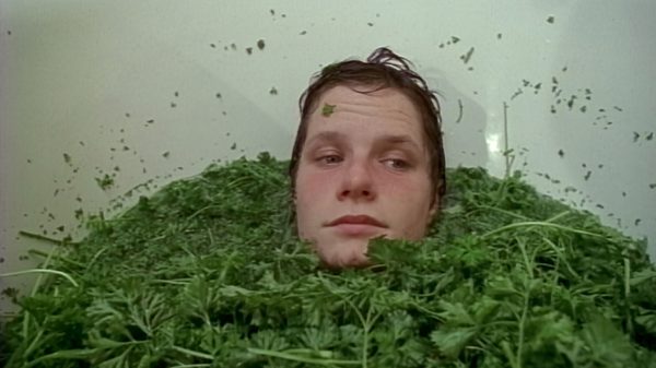 Parsley Days film image; person's head poking out from a giant pile of parsley