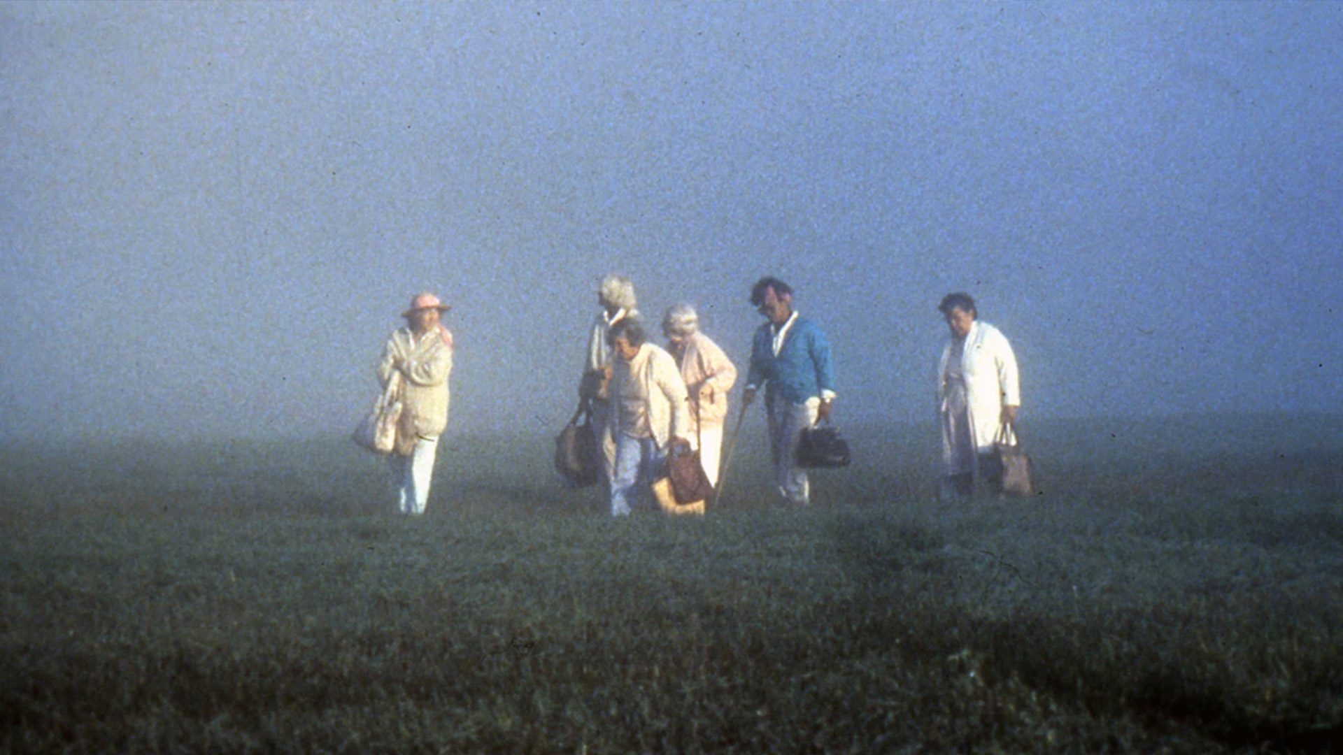 The Company of Strangers