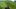 The Thin Red Line film image; person climbing up a grassy hill