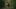 A Safe Distance film image; two people walking through the woods