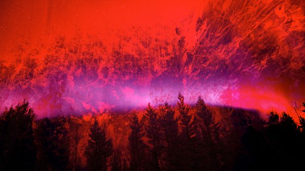 red lighting over a forest