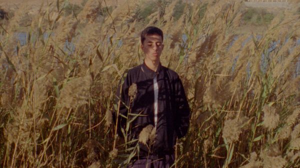 Between Us and the World film image; man standing in tall wheat