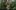 A Bit of Light film image; man standing in plants