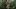 A Bit of Light film image; man standing in plants