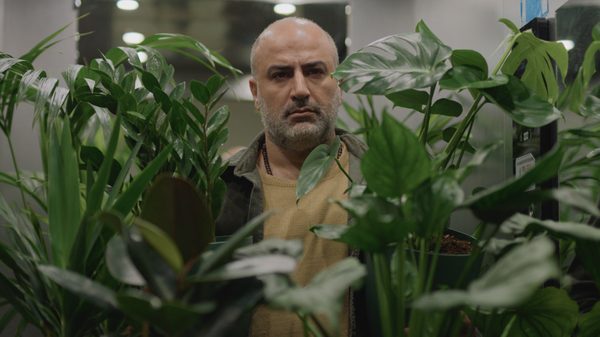 A Bit of Light film image; man standing in plants