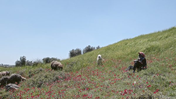 Concrete Land film image; person sitting on a grassy hill