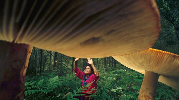 Daughters of the Forest film image; woman in a forest