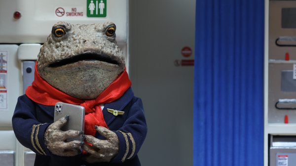 The End film image; stop-motion frog standing in a kitchen