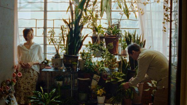 The Fading of Morning Light film image; person watering house plants