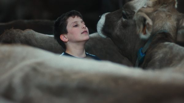 Gabin film image; boy looking at a cow