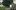 Kikuyu Land film image; man spreading out a sheet of paper on grass