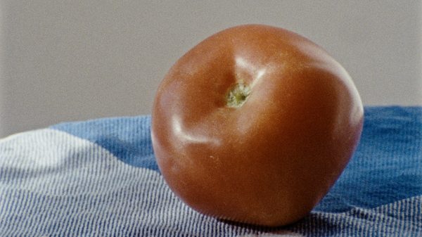 O film image; a tomato on a tablecloth