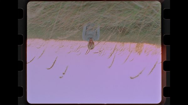 Rotation film image; upside down image of woman sitting in a field