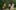 The Quiet Applause film image; family walking joyfully down a tree-lined path