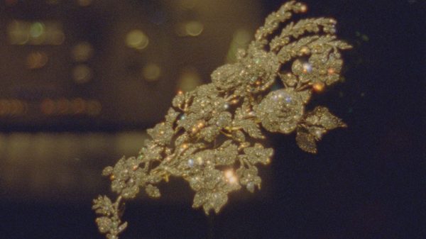 Shards film image; close on diamond brooch