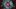 Species film image; top-down perspective on a woman looking up surrounded by people
