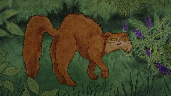 The Comet film image; cartoon grumpy cat stalking through bushes