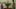 Le Bonheur film image; two people standing by a table with a giant vase of flowers